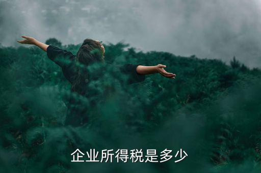 生產(chǎn)企業(yè)稅收標(biāo)準(zhǔn)是什么，企業(yè)所得稅是多少