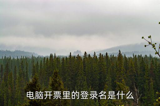 電子稅務(wù)局登錄賬號是什么意思，企業(yè)金稅盤系統(tǒng)用來開票抄稅報稅用那登錄國稅地稅局網(wǎng)站是干嘛的