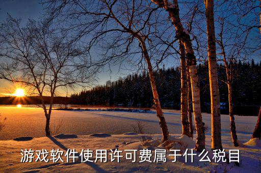 軟件使用費(fèi)交什么稅，軟件使用費(fèi)應(yīng)開國稅發(fā)票還是地稅發(fā)票