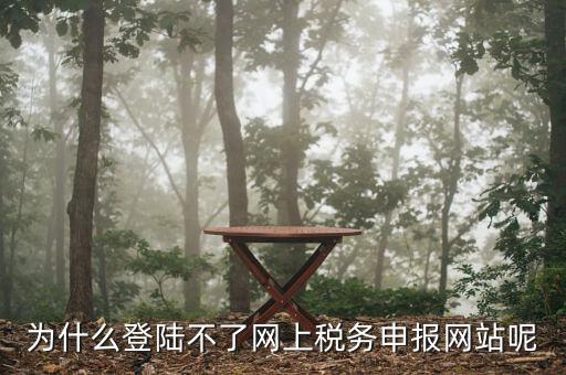 申報個稅登錄不上去是什么原因，為什么我的個人所得稅總是登不上去