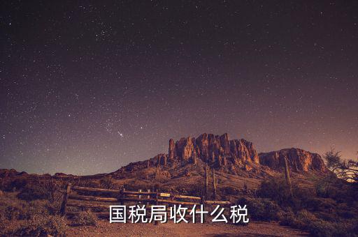 南寧國稅局收什么的稅，請(qǐng)教南寧國稅納稅具體多少以1000元收入為例