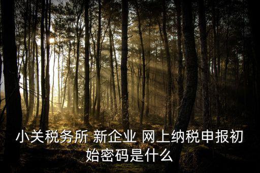 深圳國稅微信預(yù)約密碼是什么意思，小關(guān)稅務(wù)所 新企業(yè) 網(wǎng)上納稅申報初始密碼是什么