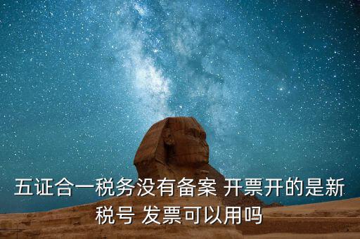 新稅號(hào)用到什么，新稅號(hào)開的發(fā)票與老稅號(hào)開具的發(fā)票有什么不同
