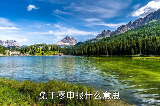 免予零申報是什么意思，免于零申報是什么意思