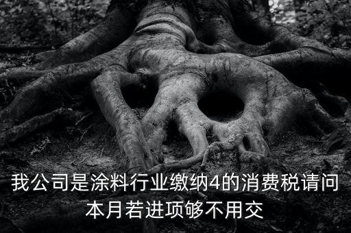 我公司是涂料行業(yè)繳納4的消費(fèi)稅請(qǐng)問本月若進(jìn)項(xiàng)夠不用交