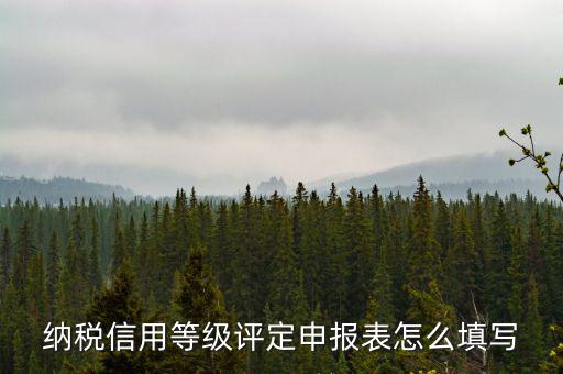 納稅信用等級評定申報(bào)表怎么填寫
