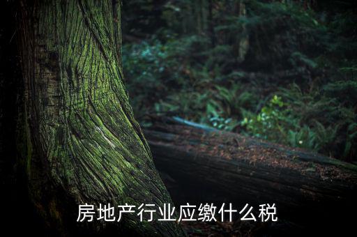 房地產企業(yè)要交什么稅，房地產行業(yè)應繳什么稅