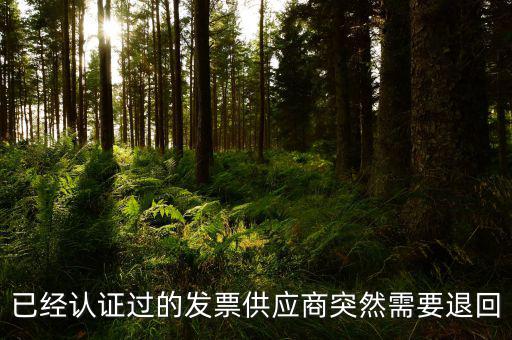 已經認證過的發(fā)票供應商突然需要退回