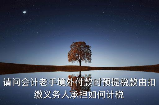 請(qǐng)問會(huì)計(jì)老手境外付款時(shí)預(yù)提稅款由扣繳義務(wù)人承擔(dān)如何計(jì)稅