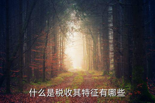 稅收的特點是什么意思，稅收的實質(zhì)和特征