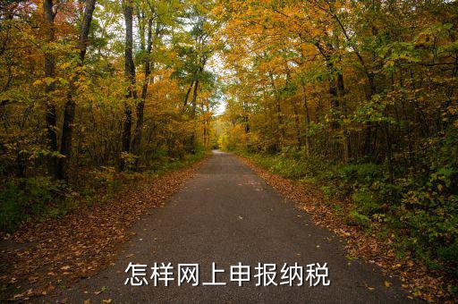網(wǎng)上用什么申報稅務，怎樣網(wǎng)上申報納稅