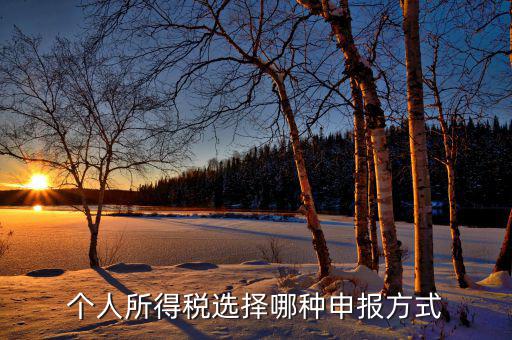 個人所得稅選擇哪種申報方式