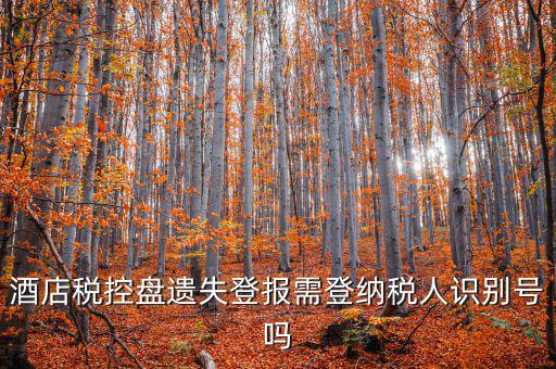 酒店稅控盤(pán)遺失登報(bào)需登納稅人識(shí)別號(hào)嗎