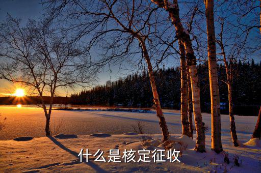什么是核定征收稅款，核定征收是什么意思