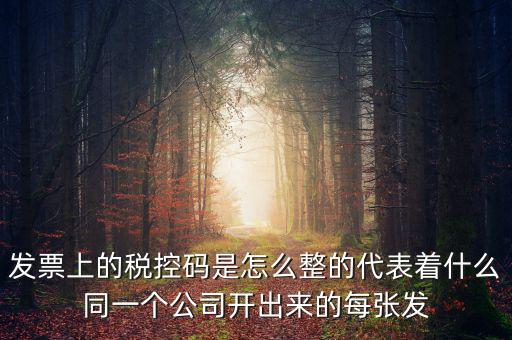 發(fā)票上的稅控碼是怎么整的代表著什么同一個(gè)公司開出來(lái)的每張發(fā)