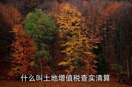 土地增值稅為什么清算，土地增值稅清算