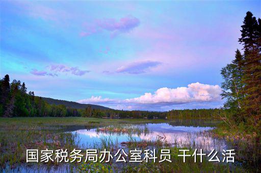 國稅行政辦公室干什么，國稅局辦公室怎么樣