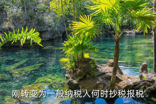 什么時(shí)候抄報(bào)稅，什么時(shí)候去國(guó)稅局抄稅
