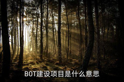 B0T建設項目是什么意思