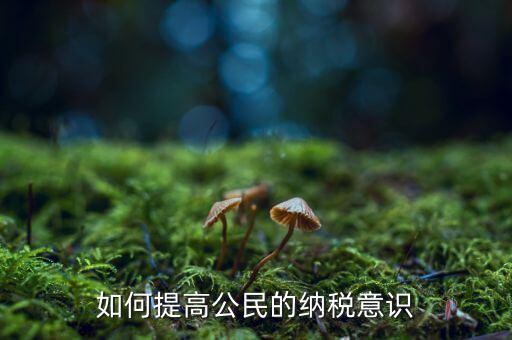 什么是納稅漫畫宣傳，魁拔第一部的投入官方說(shuō)是3500萬(wàn)一部動(dòng)漫為什么投資那么大都花