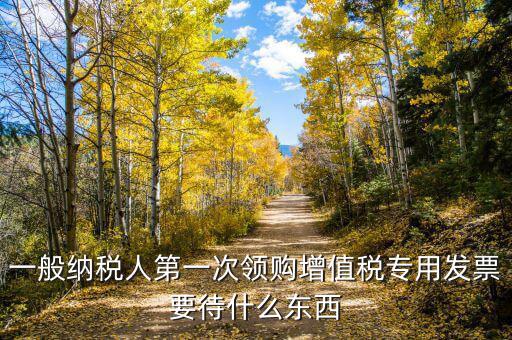 一般納稅人第一次領購增值稅專用發(fā)票要待什么東西