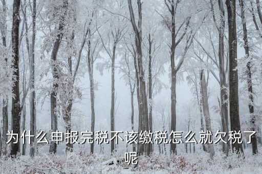 為什么國(guó)稅欠稅不催繳，因稅務(wù)機(jī)關(guān)原因未能及時(shí)繳納稅款是否屬于欠稅