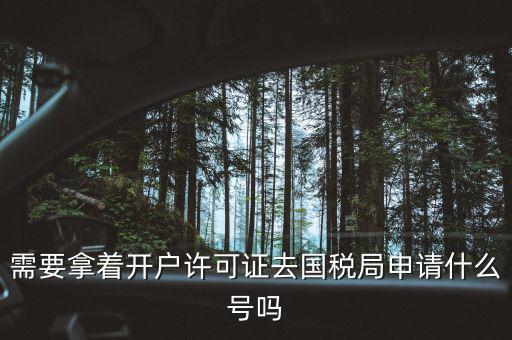 稅務(wù)局取號(hào)要帶什么，小規(guī)模納稅人去開(kāi)戶行領(lǐng)取國(guó)稅完稅憑證時(shí)怎樣領(lǐng)需要帶什么東西