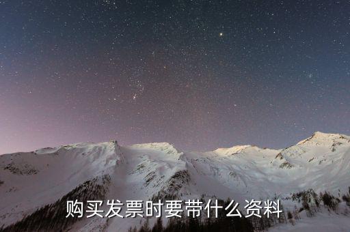 購發(fā)票 帶什么資料，購買增值稅普通發(fā)票需要帶什么資料