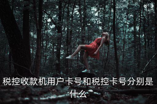 稅控收款機(jī)用戶(hù)卡號(hào)和稅控卡號(hào)分別是什么