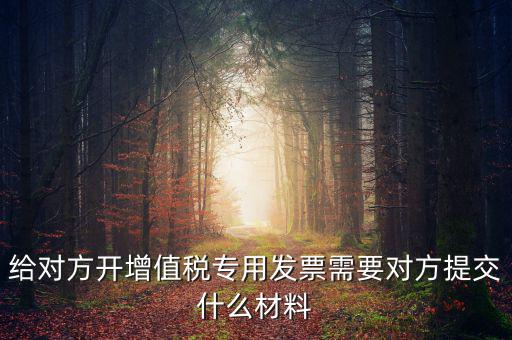 開專票要什么資料，加油卡開增值稅專用發(fā)票需要什么資料