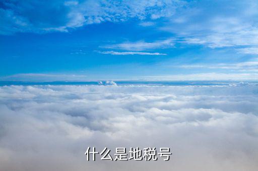 稅務賬號是什么，什么是地稅號
