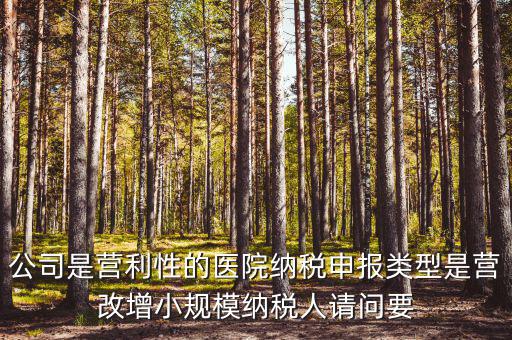 公司是營(yíng)利性的醫(yī)院納稅申報(bào)類型是營(yíng)改增小規(guī)模納稅人請(qǐng)問(wèn)要