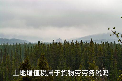 土地增值稅屬于什么稅種，土地增值稅是什么