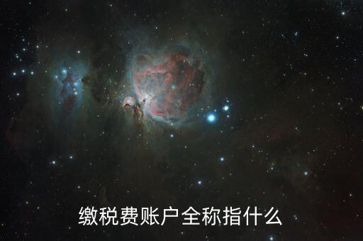 納稅賬戶是什么，我們公司申請的一個專門用來繳納稅款的賬戶是什么賬戶
