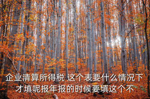 企業(yè)清算所得稅 這個表要什么情況下才填呢報(bào)年報(bào)的時候要填這個不