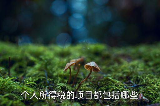 所得項目填什么，個人所得稅必須要填寫六項嗎我沒一項符合