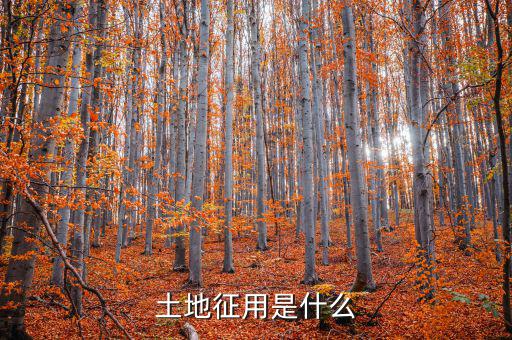 什么是土地報征，什么是征集土地