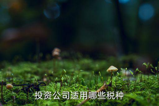 投資款需要交什么稅，投資公司適用哪些稅種