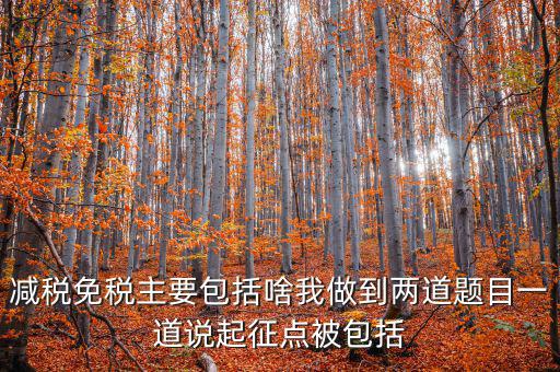 什么是減稅免稅，什么是稅收法定減免