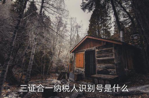 稅號識別號是什么意思，納稅人編碼 納稅人識別號有什么區(qū)別