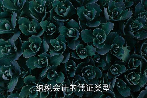 應(yīng)納稅憑證種類是什么，憑證種類999是什么