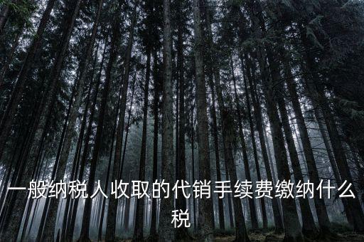 代理服務費交什么稅，一般納稅人收取的代銷手續(xù)費繳納什么稅