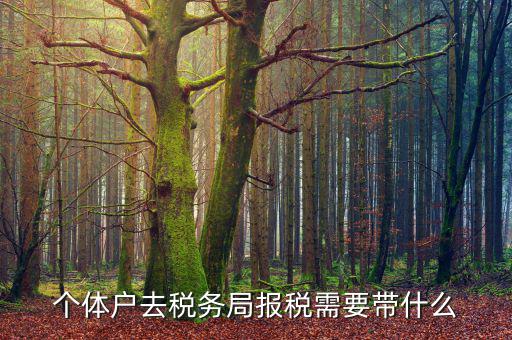 個體戶定稅需要帶什么意思，個體戶去稅局交稅都需要帶甚么