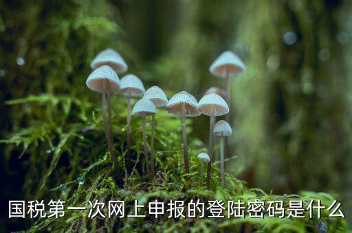 國(guó)稅登記密碼是什么，國(guó)稅第一次網(wǎng)上申報(bào)的登陸密碼是什么