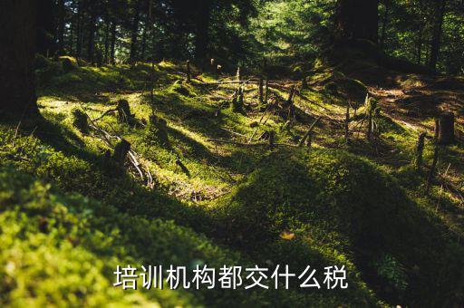 2017培訓(xùn)機(jī)構(gòu)交什么稅，培訓(xùn)機(jī)構(gòu)需要交稅的種類有多少