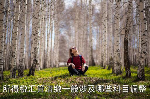 年度所得稅匯算清繳包含什么內(nèi)容，所得稅匯算清繳具體涉及哪些項目有哪些是企業(yè)通常都要發(fā)生需要