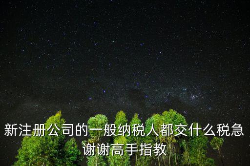 新注冊(cè)公司是什么納稅人，新辦企業(yè)是一般納稅人還是小規(guī)模納稅人
