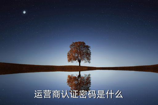 網(wǎng)上認證密碼密碼是什么，一般上網(wǎng)認證系統(tǒng)初始密碼是什么