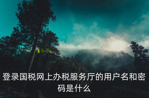 電子稅務局登錄密碼是什么，國稅第一次網(wǎng)上申報的登陸密碼是什么