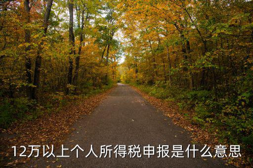 申報個稅什么意思，個稅明細(xì)申報是指什么